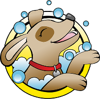 K9 Transformations Logo